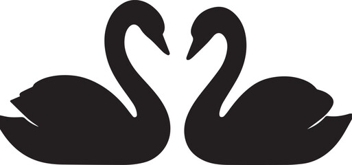 black swans on a white background