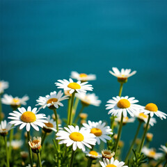 Ai genarate falower daisy, nature, desgine