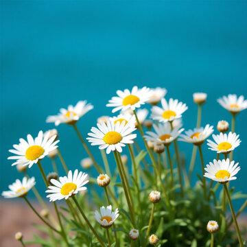 Ai genarate falower daisy, nature, desgine