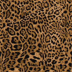 seamless leopard and jaguar skin texture