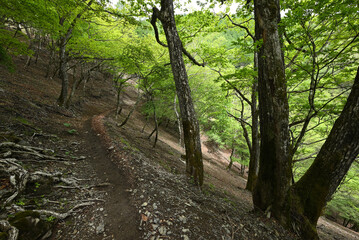 Climbing Mount Kumotori, Tokyo, Japan