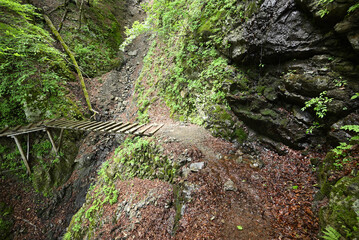 Climbing Mount Kumotori, Tokyo, Japan