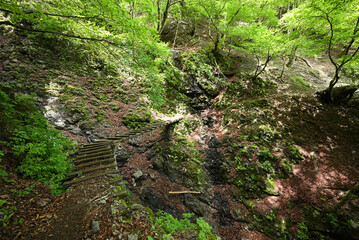 Climbing Mount Kumotori, Tokyo, Japan