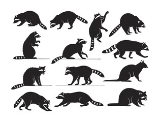 Raccoon Silhouette Vector Collection – Black Woodland Animal Poses Set