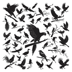 Bird Silhouette Vector Collection – Flying and Perching Birds Black Silhouettes Set