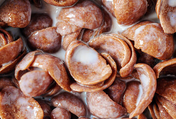 Close-up of Chocolate corn flakes with milk, macro