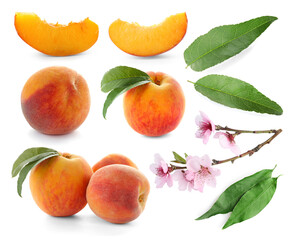 Ripe juicy peaches, blossoms and green leaves on white background, collage