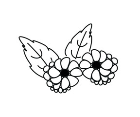 blackberry