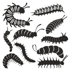 Centipede and Millipede Silhouette Vector Set – Insect Clipart for Nature, Tattoo, and Design Illustrations
