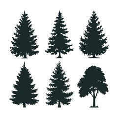 Obraz premium Various Evergreen and Deciduous Tree Silhouettes