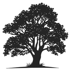Large Oak Tree Silhouette Vector – Detailed Nature Clipart for Forest, Landscape, and Environmental Designs
