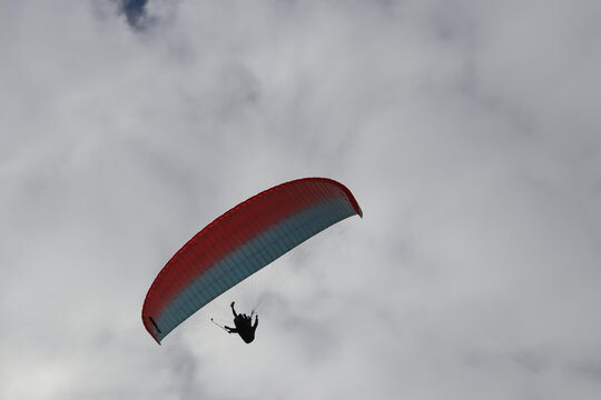 Colorful Parasails Flying Above the Ocean on a Sunny Coastal Day