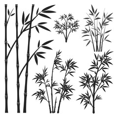 Naklejka premium Silhouette Set of Various Bamboo Plants Vector Illustration 