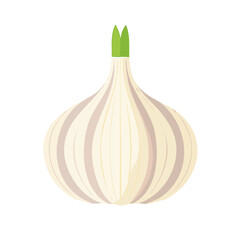 Garlic Food Icon Isolated on a Transparent Background