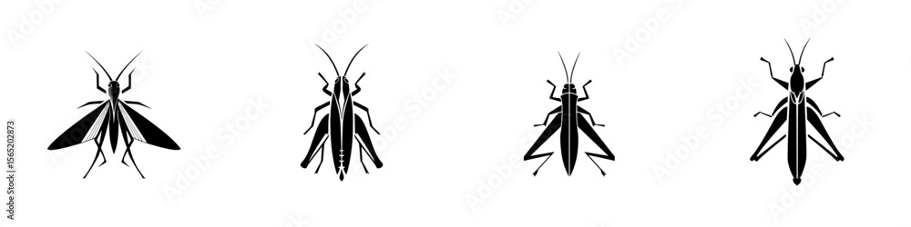 Poster various insect silhouettes showing distinct features of different species in a minimalist style