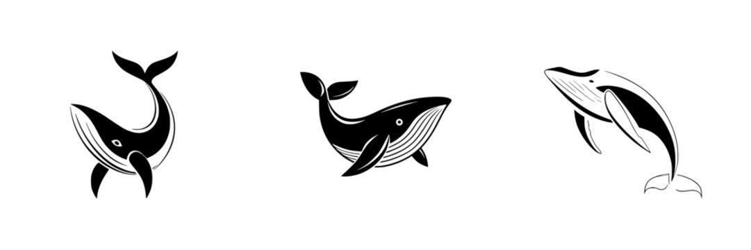 Silhouette pictograms of different whale species depicted in isolated vector icons conveying marine life themes