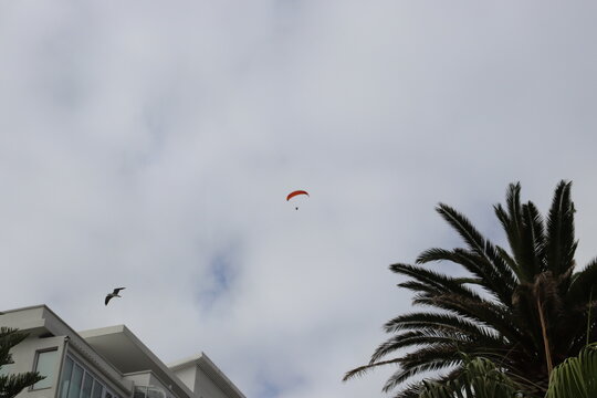 Colorful Parasails Flying Above the Ocean on a Sunny Coastal Day