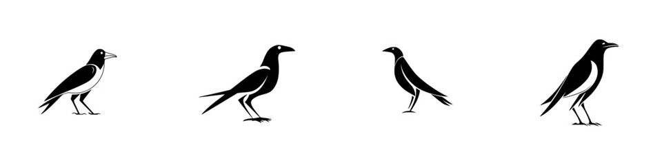 Silhouette set of birds in various poses, showcasing their distinctive shapes and characteristics against a plain backdrop