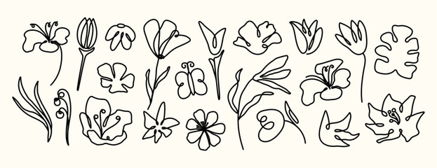 Coquette lines. Whimsical flowers and botany. Elements for design. Simple template. Clipart. Prints. Elegant floral. Scribbles. Doodles and hand drawn. Outline and line art. Drawing sketch