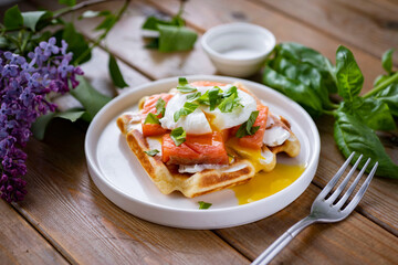 Vienna waffles with red fish and poached egg on a white plate for breakfast. Delicious waffles with red fish for lunch. Close-up