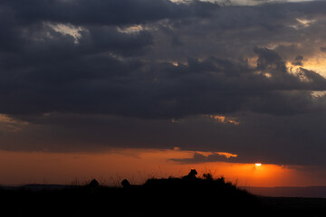 Lions on mound with dramatic sunset at Masai Mara, Kenya