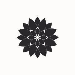 Artistic Floral Photography of a Dazzling Red and White Dahlia