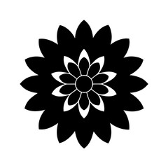 Elegant Petals of a Freshly Bloomed Dahlia Plant in Natural Light