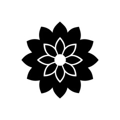 Dahlia, flower, red, white, pink, bloom, blossom, floral, nature, garden, plant