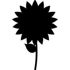 Stunning Macro Shot of a Bi Color Dahlia Blossom Center