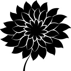 Beautiful Dalia Bloom with Pink and Crimson Petals Nature Photography