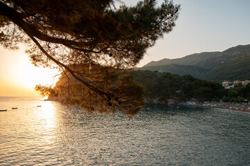 Sunset Over Tranquil Bay with Pine Trees