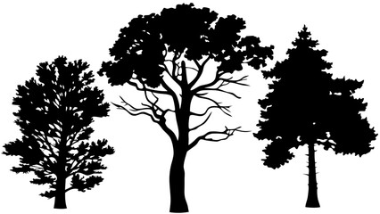 Silhouette tree line drawing set in side view. Collection of black tree outlines with various natural shapes, isolated on white background. Ideal for landscape, nature, and outdoor design.