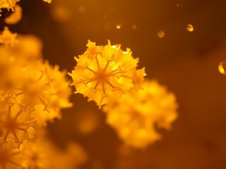 Vibrant Flower Bouquet in Orange Hue
