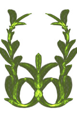 green leaves on white background