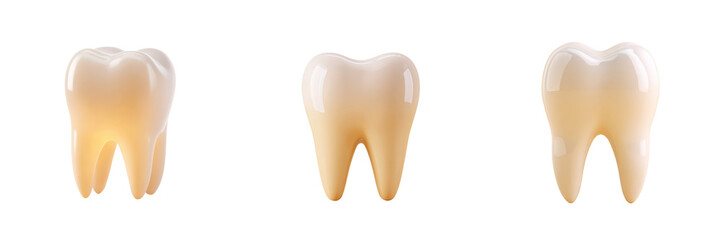 Three human molars with yellow stains for dental health illustration, anatomical teeth