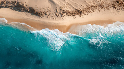 Tropical Beach with Clear Turquoise Water on a Sunny Day