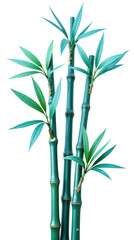 Obraz premium Bamboo plant with vibrant green leaves and tall, slender stalks, symbolizing strength and resilience in nature