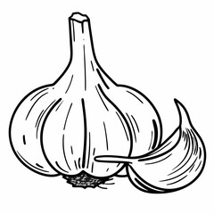 a garlic