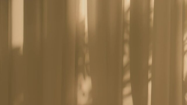 Abstract Shadows of Plants on Light Beige Curtains