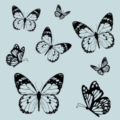 Elegant black and white butterfly silhouettes on a light blue background. Perfect for wall art, decals, or nature-themed designs. High-quality vector illustration. EPS10