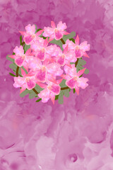 pink orchid flowers on purple  background 