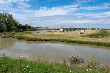 marais; region Pays de Loire; marais Breton; 85, Vendée, Loire Atlantique, France