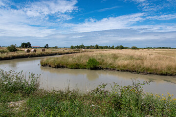 marais; region Pays de Loire; marais Breton; 85, Vendée, Loire Atlantique, France