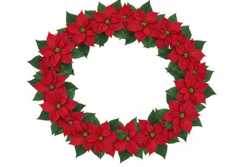 Circular arrangement of red poinsettia flowers and green leaves isolated on transparent background