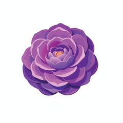 purple rose isolated on white background