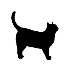 black cat, cartoon cat, cute cat, kawaii, vector cat, animal illustration, funny cat, kids illustration, cat character, feline, adorable, pet, playful, big eyes, cat lover, mascot, minimalist, graphic