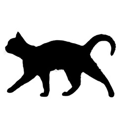 black cat, cartoon cat, cute cat, kawaii, vector cat, animal illustration, funny cat, kids illustration, cat character, feline, adorable, pet, playful, big eyes, cat lover, mascot, minimalist, graphic