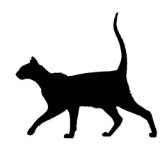 black cat, cartoon cat, cute cat, kawaii, vector cat, animal illustration, funny cat, kids illustration, cat character, feline, adorable, pet, playful, big eyes, cat lover, mascot, minimalist, graphic
