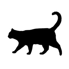 black cat, cartoon cat, cute cat, kawaii, vector cat, animal illustration, funny cat, kids illustration, cat character, feline, adorable, pet, playful, big eyes, cat lover, mascot, minimalist, graphic