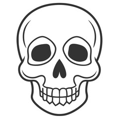Obraz premium vintage human skull vector art